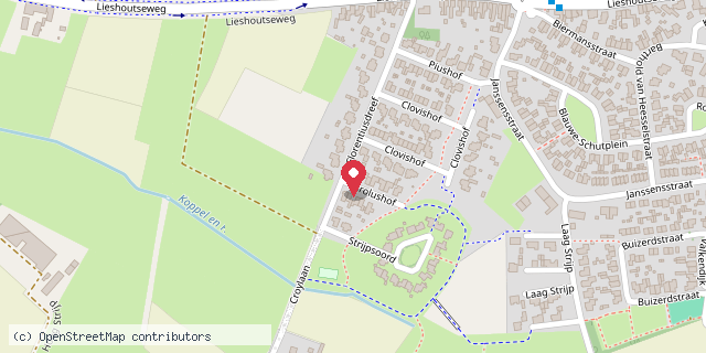 Een kaart met de locatie van Aarle-Rixtel