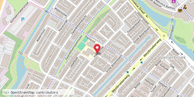 Een kaart met de locatie van de Pionier OBS Duinroos