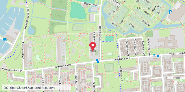 Een kaart met de locatie van Elvis Presly flat Holtenbroek