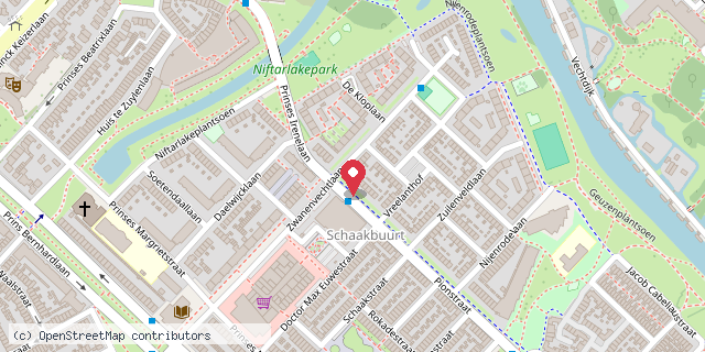 Een kaart met de locatie van Lotte's minibieb, Zuilen
